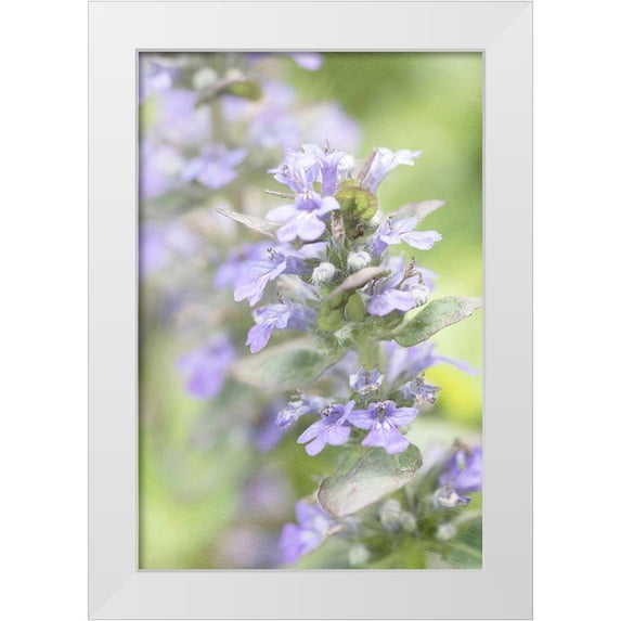 Stalus, Judy 23x32 White Modern Wood Framed Museum Art Print Titled - Blue Light