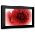thumbnail image 1 of Stalus, Judy 24x17 Black Modern Framed Museum Art Print Titled - Velvet, 1 of 5