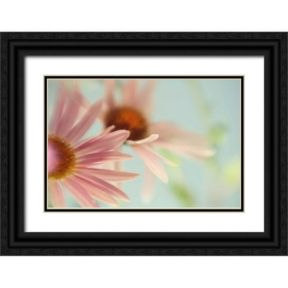Stalus, Judy 24x17 Black Ornate Wood Framed with Double Matting Museum Art Print Titled - Daisy Days