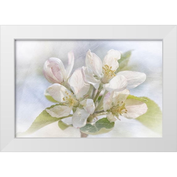 Stalus, Judy 24x17 White Modern Wood Framed Museum Art Print Titled - Spring Blossoms