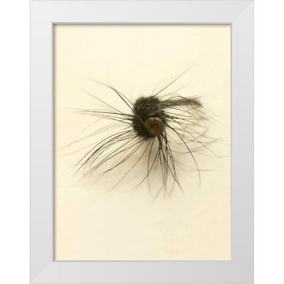 Stalus, Judy 25x32 White Modern Wood Framed Museum Art Print Titled - Macro Lure III