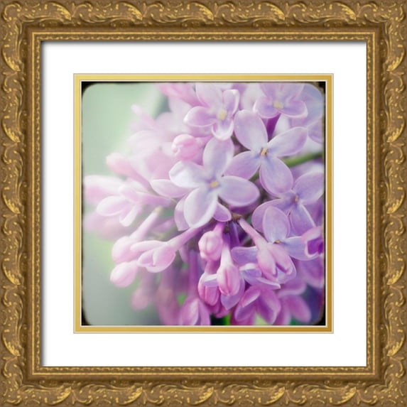 Stalus, Judy 26x26 Gold Ornate Wood Framed with Double Matting Museum Art Print Titled - Innocence