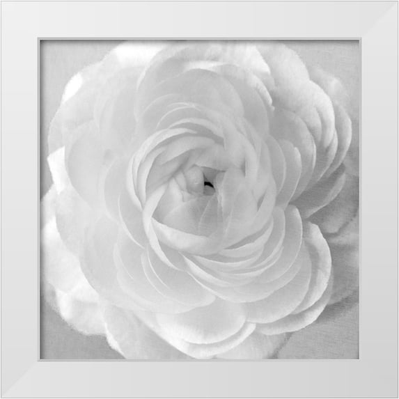 Stalus, Judy 26x26 White Modern Wood Framed Museum Art Print Titled - Snow