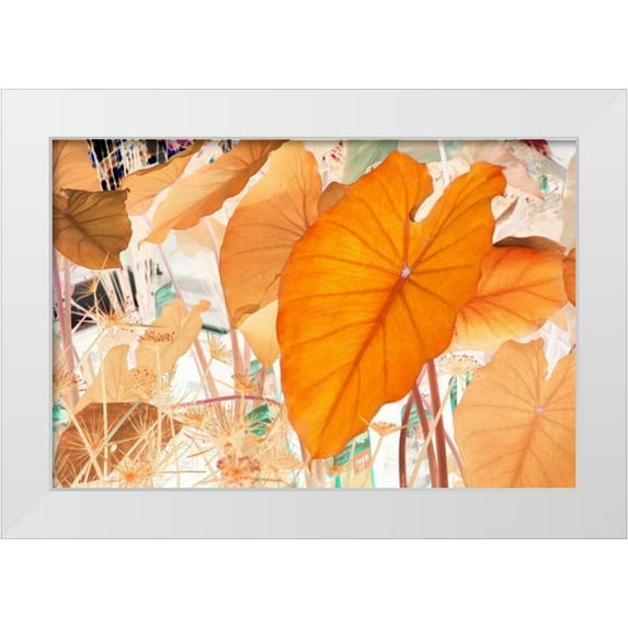 Stalus, Judy 32x23 White Modern Wood Framed Museum Art Print Titled - Elephant Ears