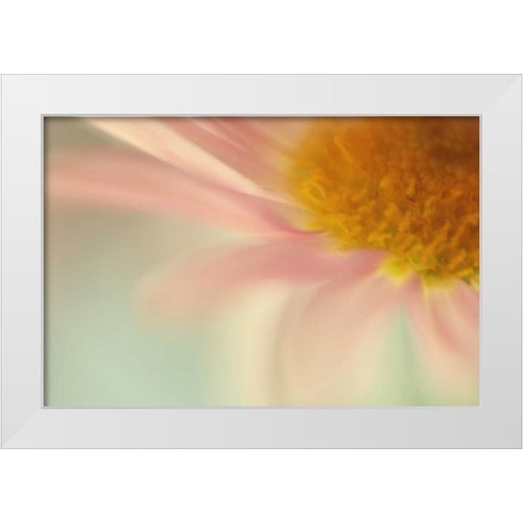 Stalus, Judy 32x23 White Modern Wood Framed Museum Art Print Titled - Whisper