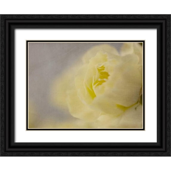 Stalus, Judy 32x25 Black Ornate Wood Framed with Double Matting Museum Art Print Titled - Rose Whisper II