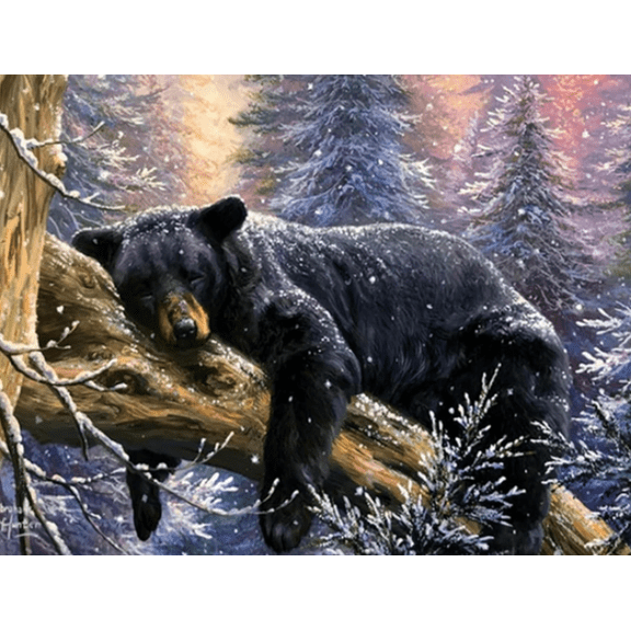 Stamped Cross Stitch Kits Snowflake Bear Cross Stitch Patterns, Cross Stitch Kits Embroidery Kit Arts and Crafts for Beginners 16x20 inches