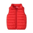 thumbnail image 1 of Stamzod 2-9Years Solid Color Children's Sleeveless Waistcoat Windproof Padded Clothes Jacket with Zipper Kids Fall Winter Clothes, 1 of 7