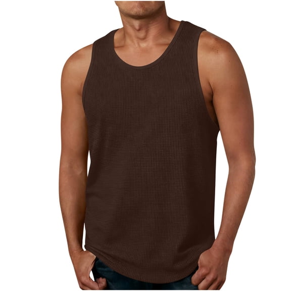 Stamzod Sleeveless Shirts for Men Solid Color Summer Basic Tank Top Men Casual Muscle Sports Tank Tops Brown M