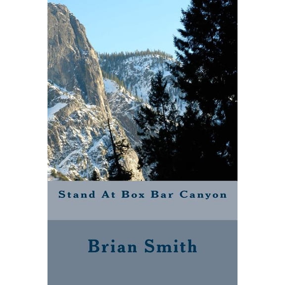 Stand At Box Canyon (Paperback)