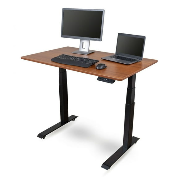 Stand Up Desk Store Electric Adjustable Height Standing Desk with Programmable Memory (Black Frame/Teak Top, 48" Wide)