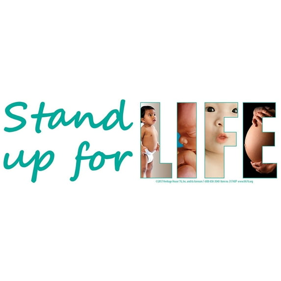 Stand Up For Life Pro-Life Bumper Sticker