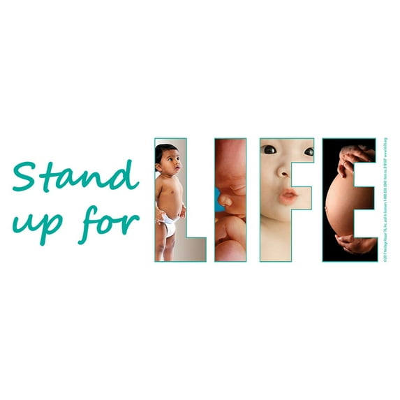 Stand Up For Life Pro-Life Vinyl Sign