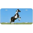 thumbnail image 1 of Stand up horse HTAG08 Novelty Car Auto License Plate, 1 of 2
