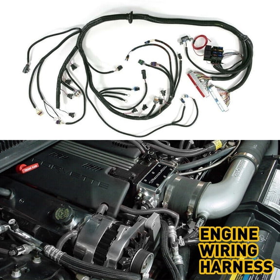 Standalone Wiring Harness T56 Manual Tran For 97-06 LS1 4.8/5.3/6.0L DBC LS Swap