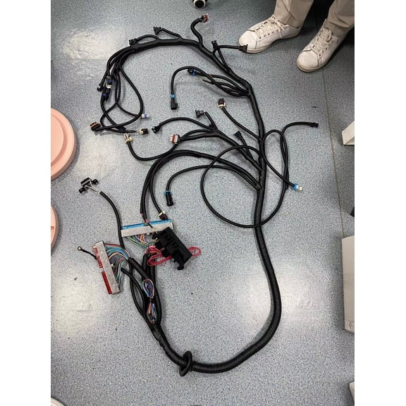 Standalone Wiring Harness T56 Manual Tran For 97-06 LS1 4.8/5.3/6.0L DBC LS Swap