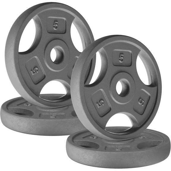 Standard 1-Inch Grip Weight Plates, Cast Iron with Multiple Sizes from 2.5 lb to 35 lb for Strength Training, Weightlifting & Muscle Toning