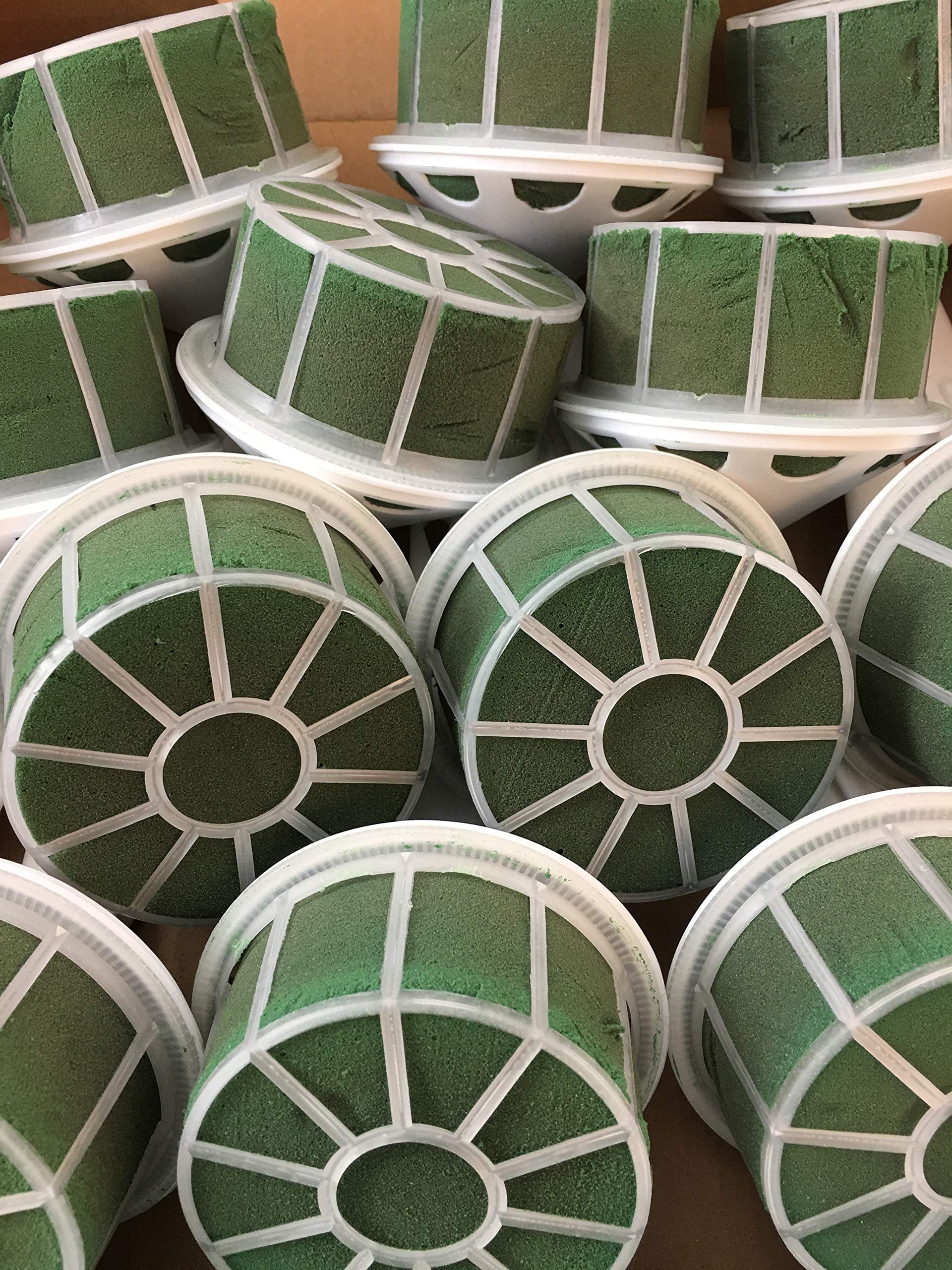 Standard Bouqueg Holder with Floral Foam 12 Holders Per Box