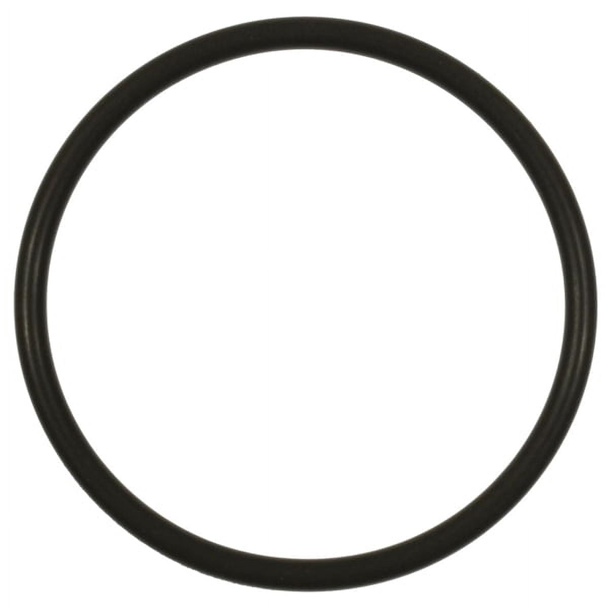 Standard Ignition Fuel Pump O-Ring