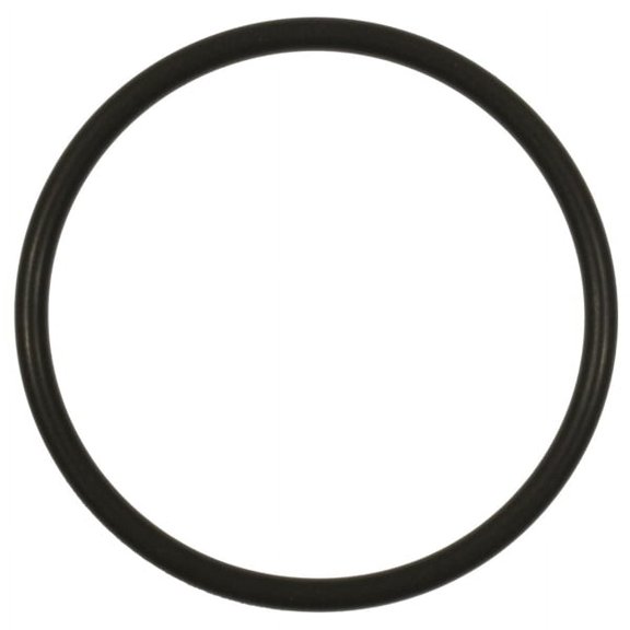 Standard Ignition Fuel Pump O-Ring