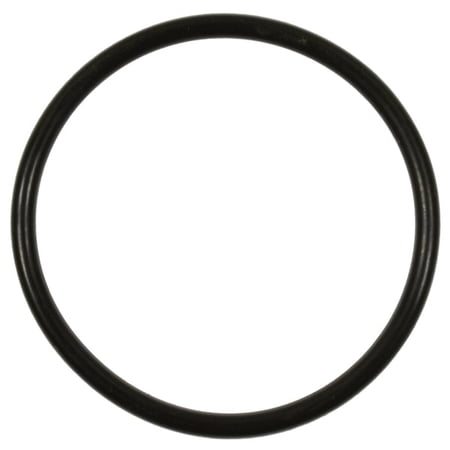 Standard Ignition Fuel Pump O-Ring