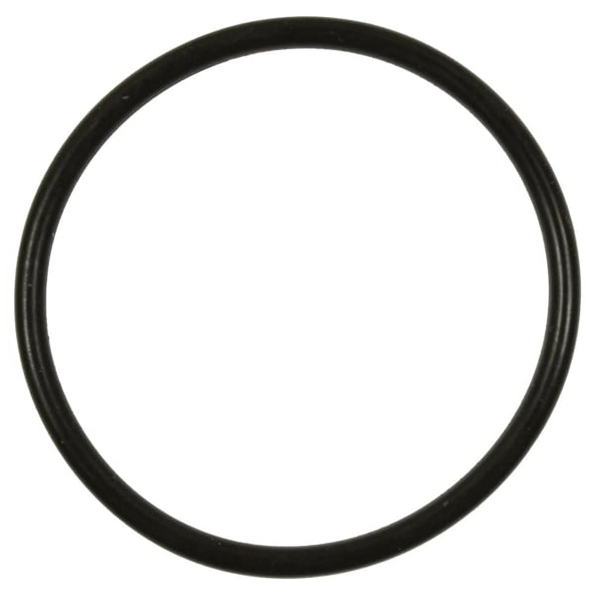 Standard Import Fuel Pump O-Ring