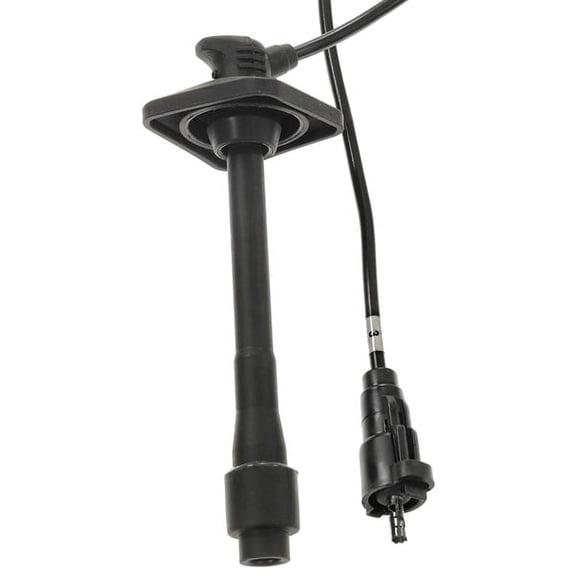 Standard Import Import Car Wire Set
