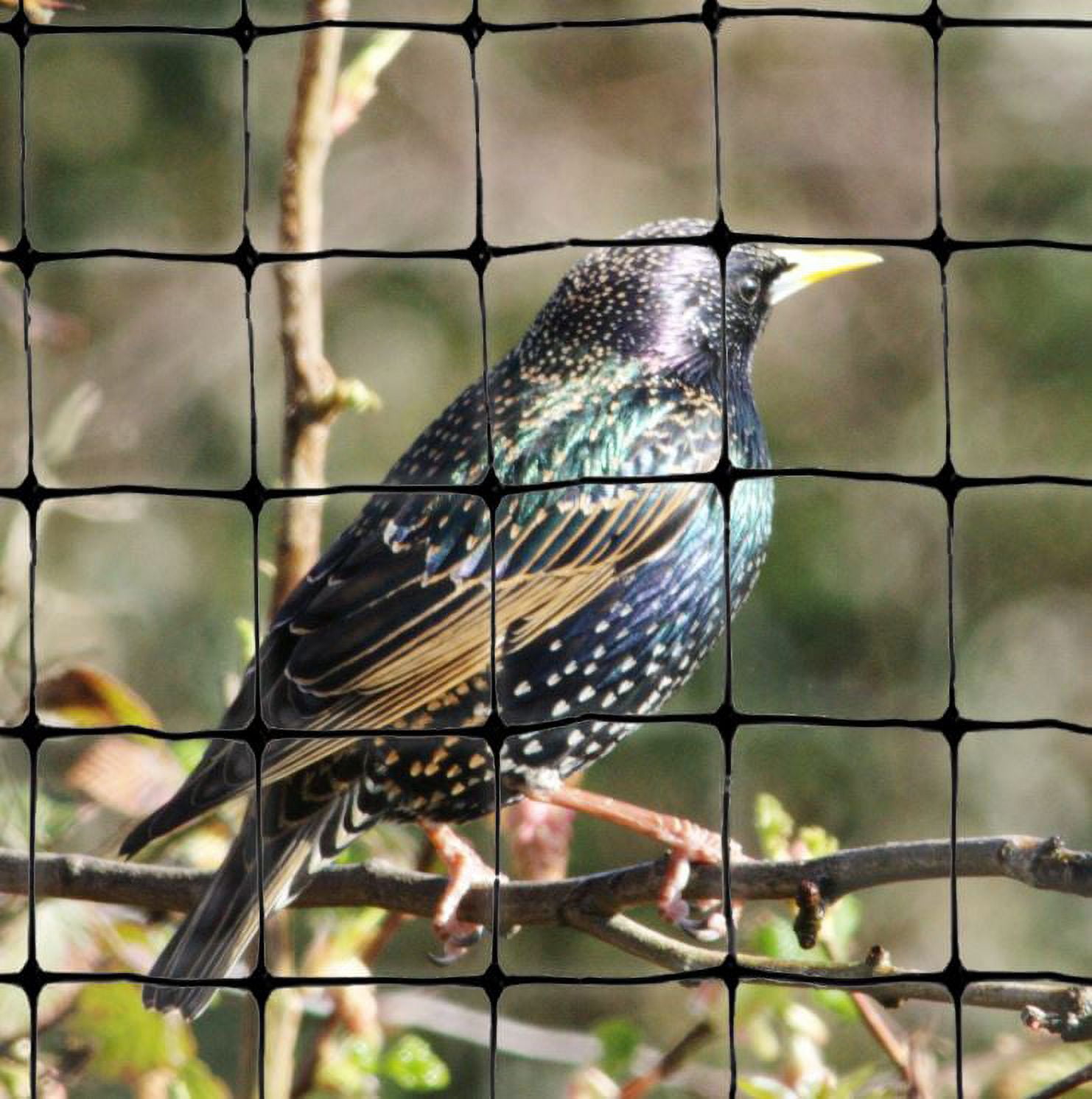 Standard Lightweight Garden Bird Netting 3/4" Mesh 200 feet X 14 feet