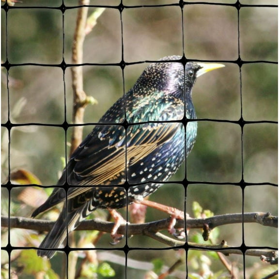 Standard Lightweight Garden Bird Netting 3/4" Mesh 200 feet X 14 feet Protect Plants Fruit Trees Bird Damage Repellent