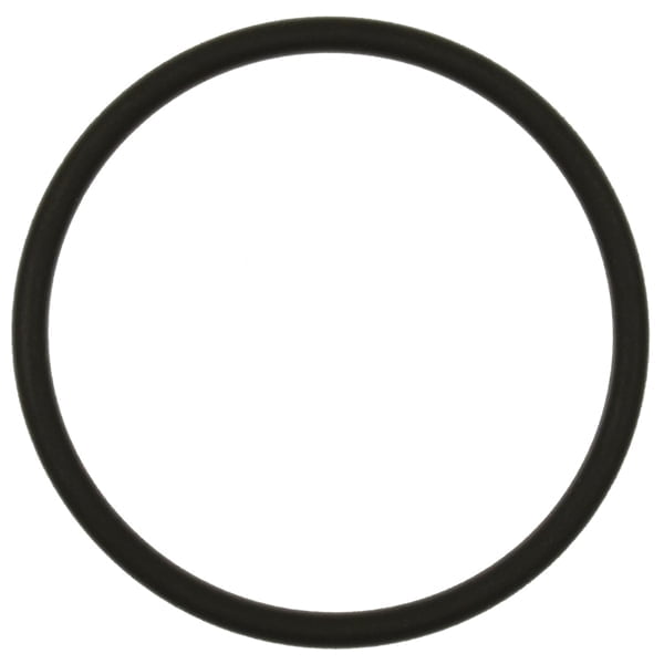 Standard Ignition Fuel Pump O-Ring
