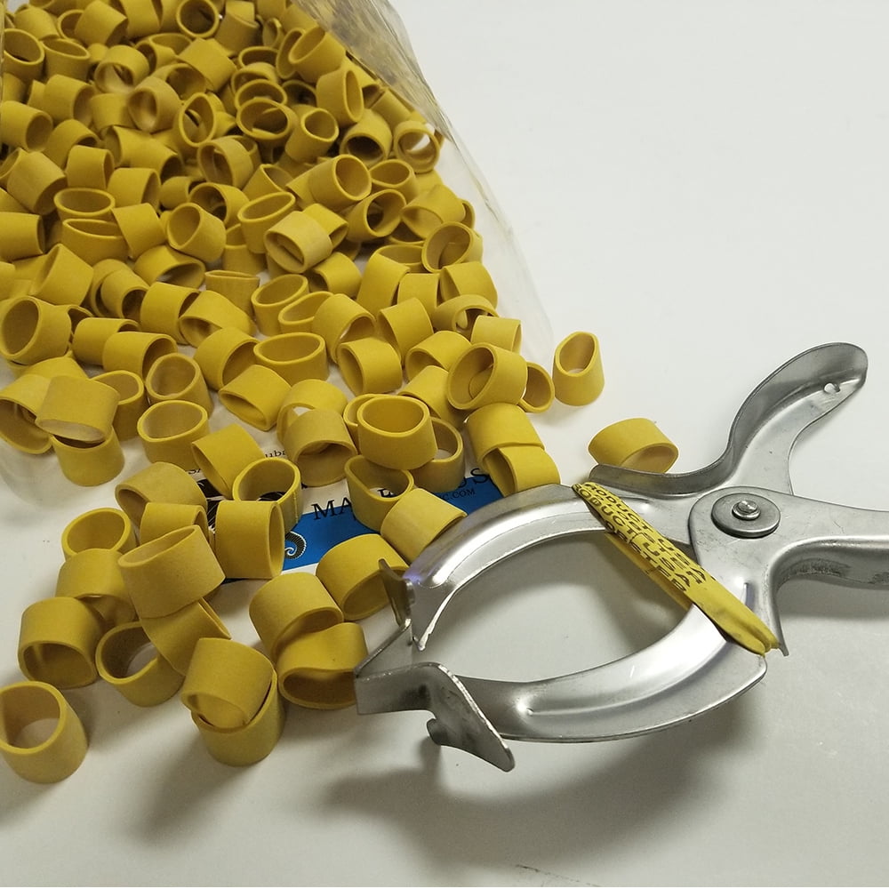 Standard/Shipper Lobster Claw Bands and Claw Band Tool Kit. 1 LB Bag (About 350 PCS.), Yellow