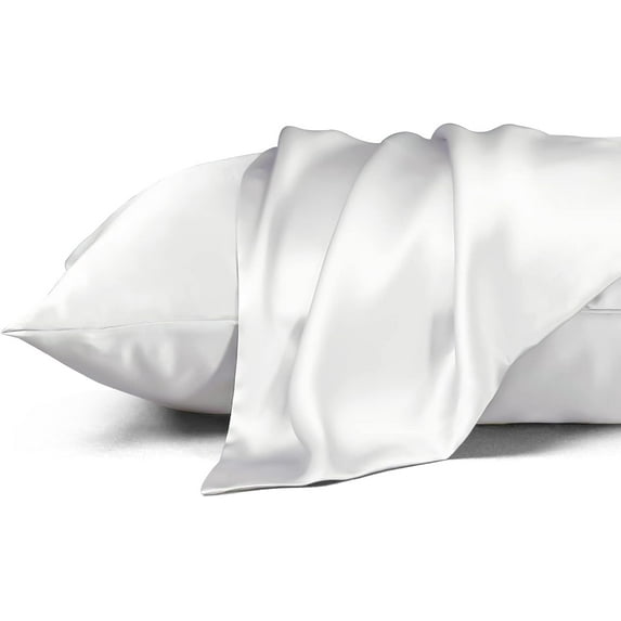 Standard Size Mulberry Silk Pillowcase,Cooling Pillow Cases with Hidden Zipper,Smooth Breathable Pillowslip Hleps Skin(20"x26",White)