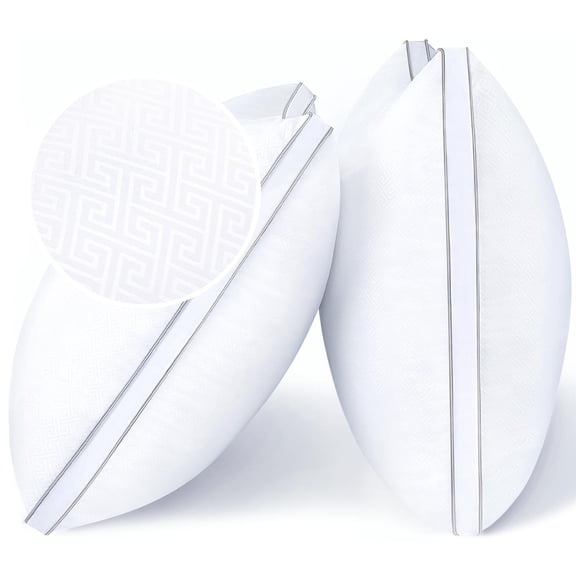 Standard Size White Decorative Pillow Set of 2