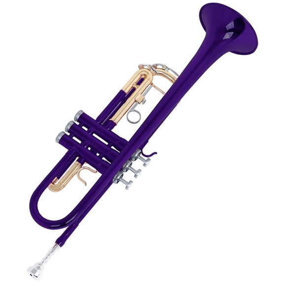 Standard Trumpet Horn Beginner Trumpet Professional Trumpet Musical Instruments with Storage Case Enduring