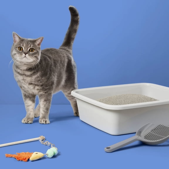 Standard Waste Cat Pan - Gray - L