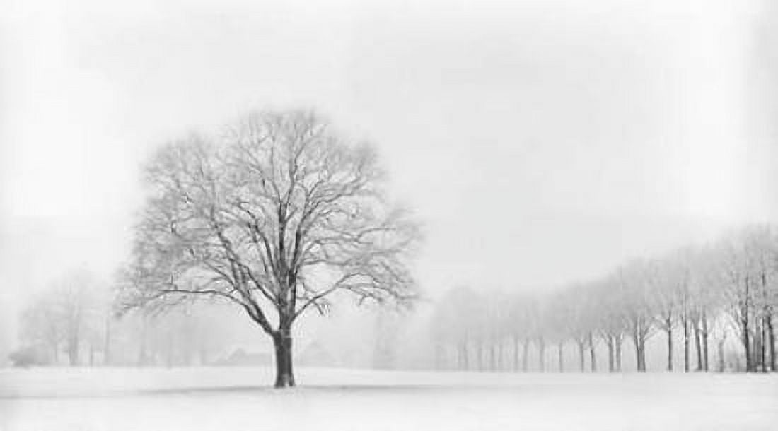 Standing Alone Canvas Art - Lars Van de Goor (24 x 36)