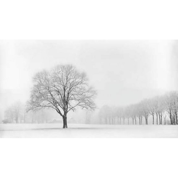 Standing Alone Canvas Art - Lars Van de Goor (24 x 36)