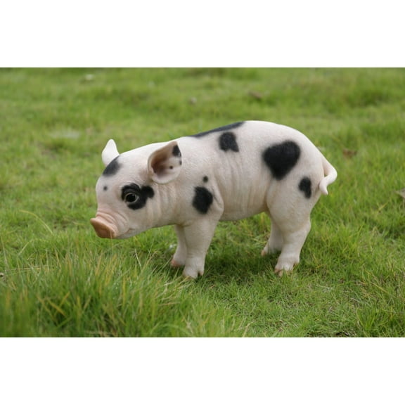 Standing Baby Pig With Black Spots