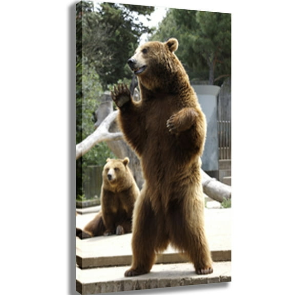 Standing Bear Canvas Print