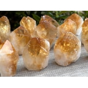 Standing Citrine Top Polished Rough Point, Deep Orange Citrine Crystal Point Cut Base, Money Stone, Success Stone 1-2 oz