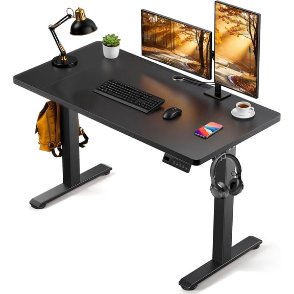 Standing Desk, 48 x 24 Inches Electric Height Adjustable Desk, Sit Stand up Desk, Memory Computer Home Office Gaming Desk with 3 Preset Heights, Wood Table Cable Management Box, Black