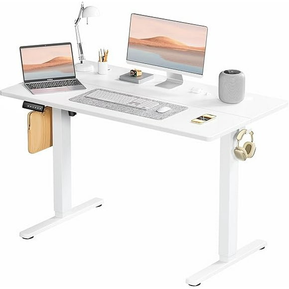 Standing Desk, Adjustable Height Electric Sit Stand Computer Desk, 48x24 Inch Ergonomic Rise Modern Lift Electric Gaming Desktop Workstation for Work Home Office, White