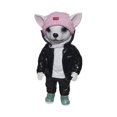 thumbnail image 1 of Standing Dog Figurine, Dog Decor With Knit Hat, Black Jacket, White Hoodie, Green Sneakers, For Home Decor, Office Decor, Shelf Decor, Table Decor, 1 of 3