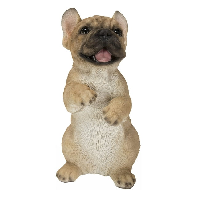 Standing French Bulldog
