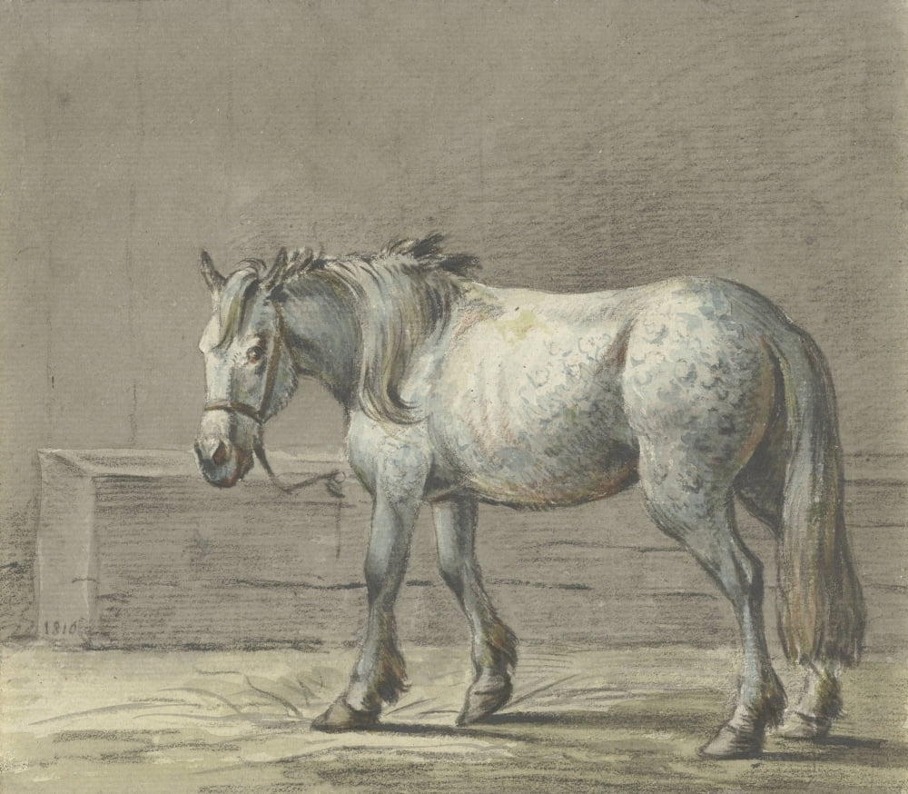 Standing Horse In A Stall Canvas Art - (24 x 18)