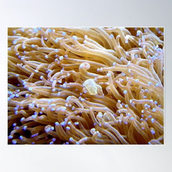 Standing Out Poster Wall Art, Modern Wall Decor For Living Room Bedroom, 24x36 UNFRAMED