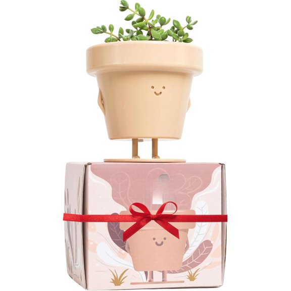 Standing Pot - 4 Inch Cute  Pot - Plastic Funny Planter with Drainage -  Cactus Lover  - Small Succulent  Flower Pot - Cute  Gifts for  Lovers