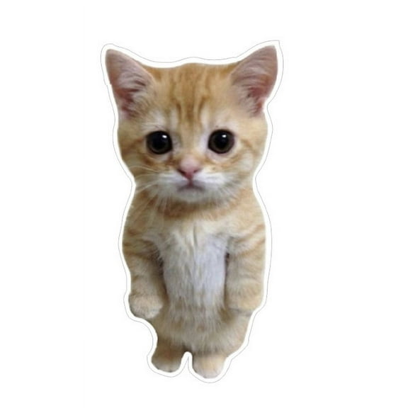 Standing Sad Cat Car Decal. 3D Realistic Waterproof Sticker for Car, Case, Electronic, Water bottle