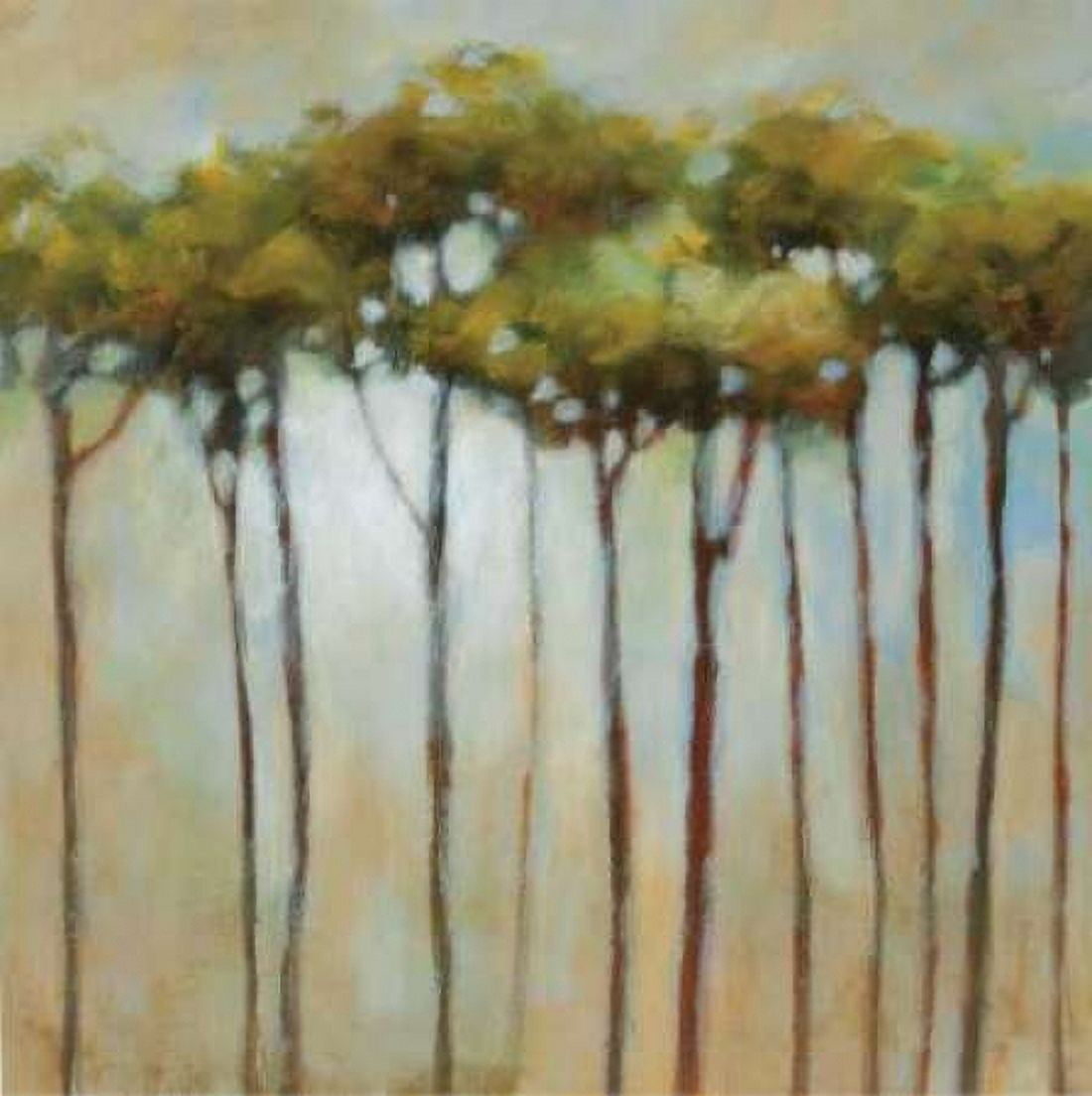 Standing Tall I Canvas Art - Jack Roth (24 x 24)