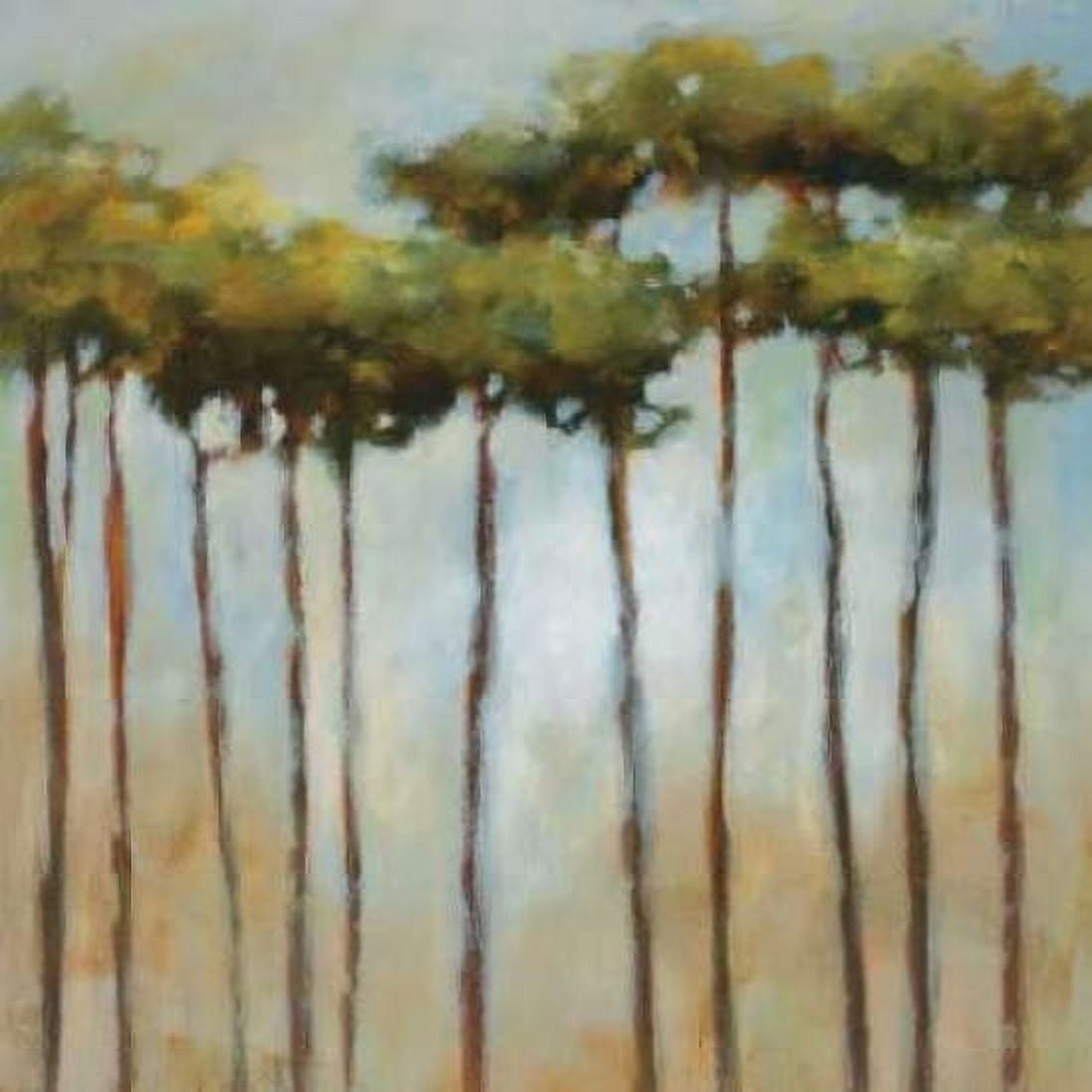 Standing Tall II Canvas Art - Jack Roth (24 x 24)